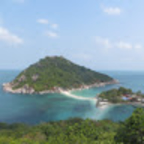 Meet your Posher, Jayme - Picture 1 of 1